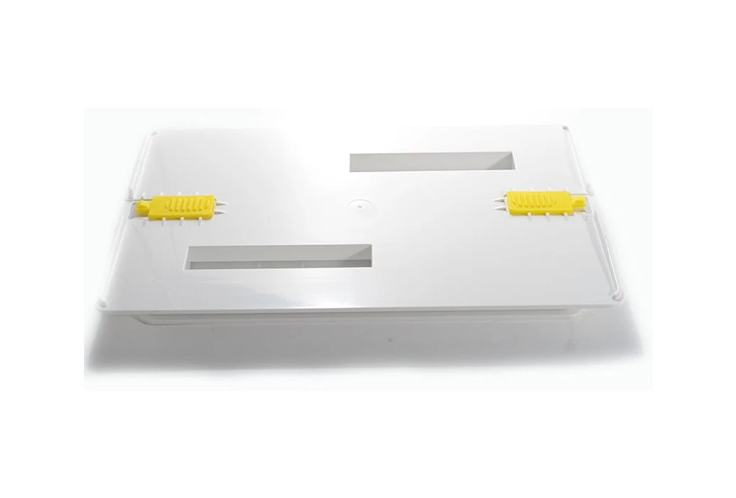 Dolphin Bodemplaat - Afbeelding 2