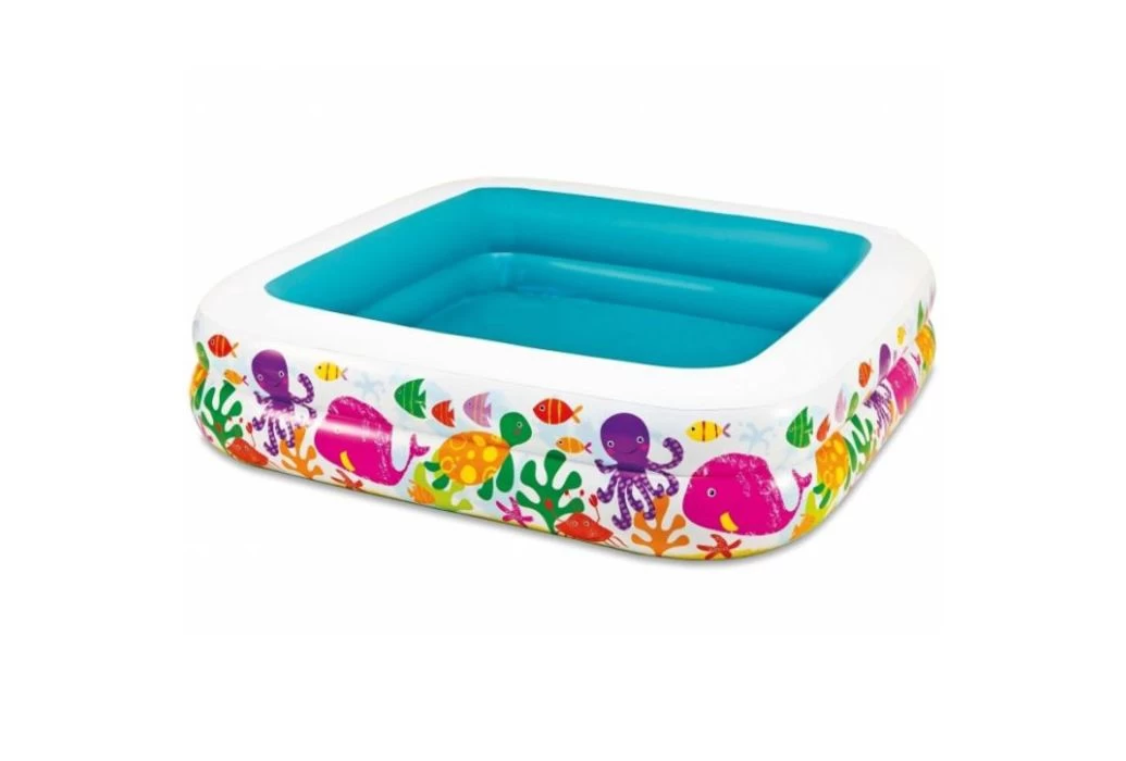 Intex Opblaaszwembad Met Zonnedak | Vissen - Afbeelding 2